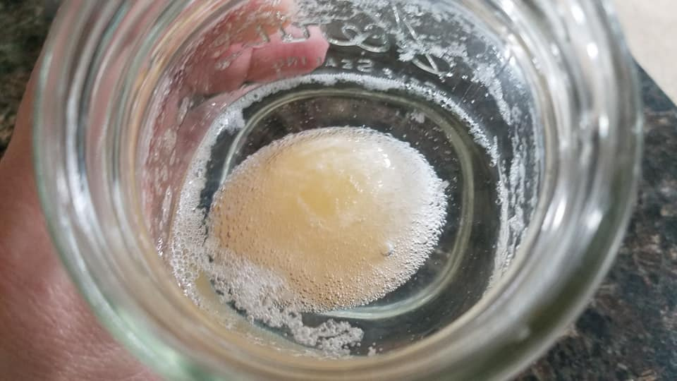 See-Through Egg Science Experiment