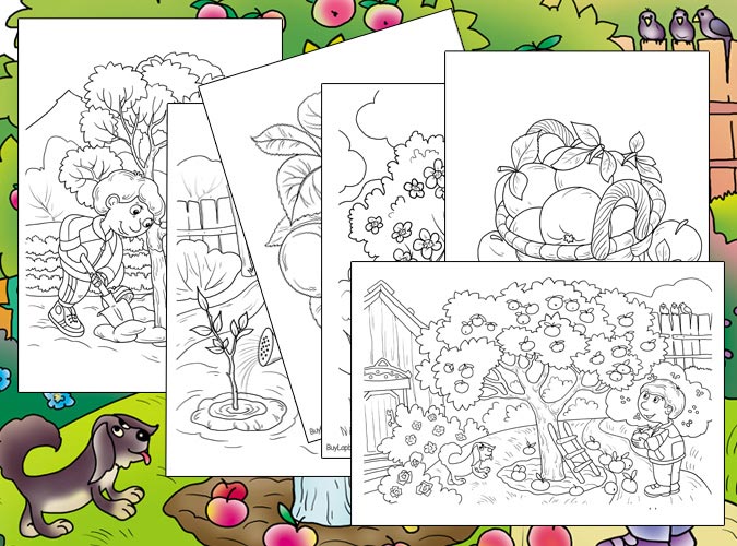 Apple Tree. Apple Life Cycle Coloring Pages