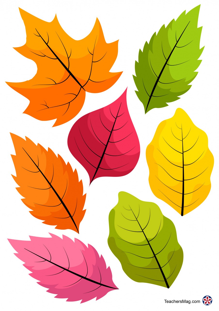 осенние листья картинки