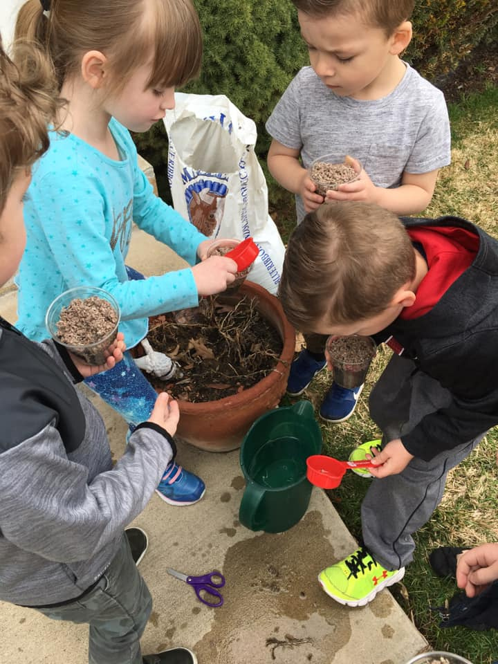 kids planting seeds in cups