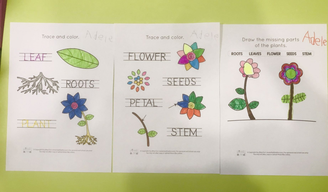 Flower-themed Homework for the Kiddies