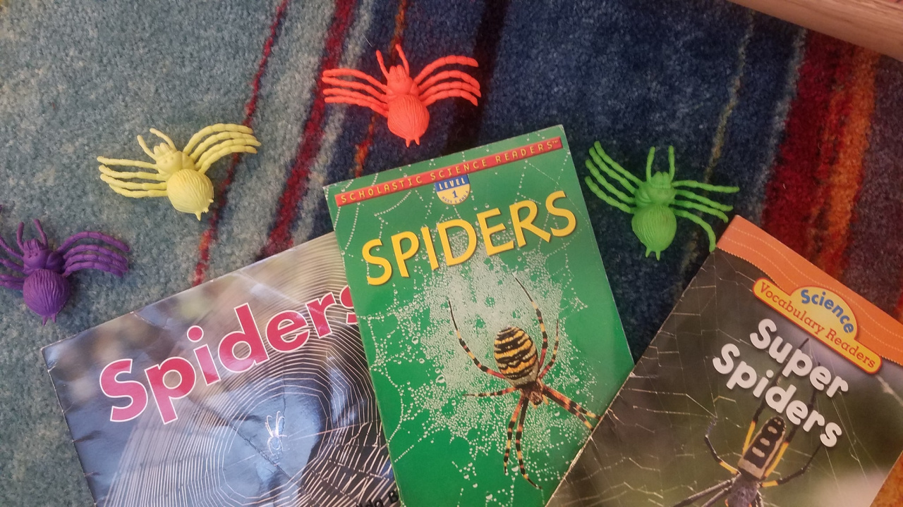 Spider-Themed Fun in the Classroom!