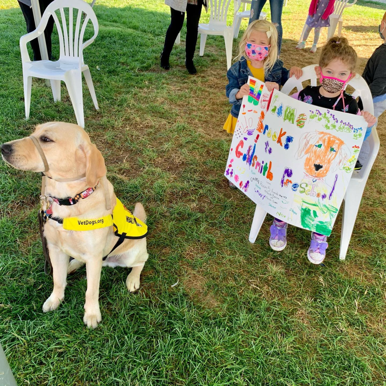 Learning About Therapy Dogs