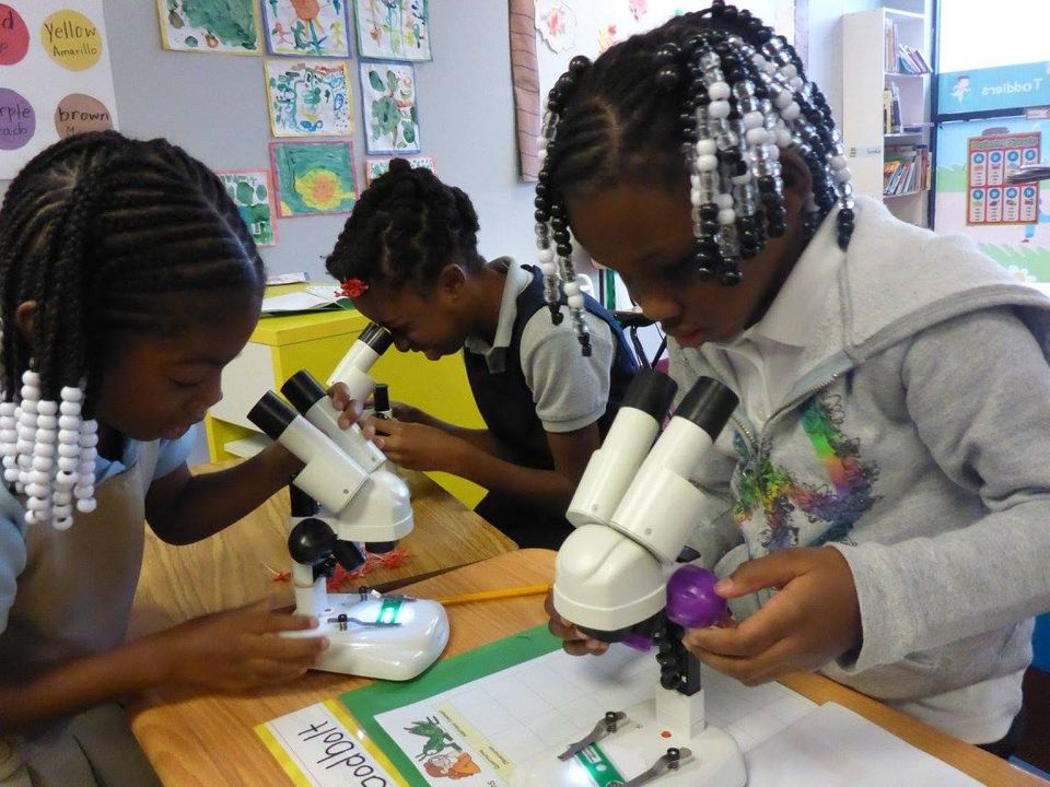 Studying Nature With Microscopes
