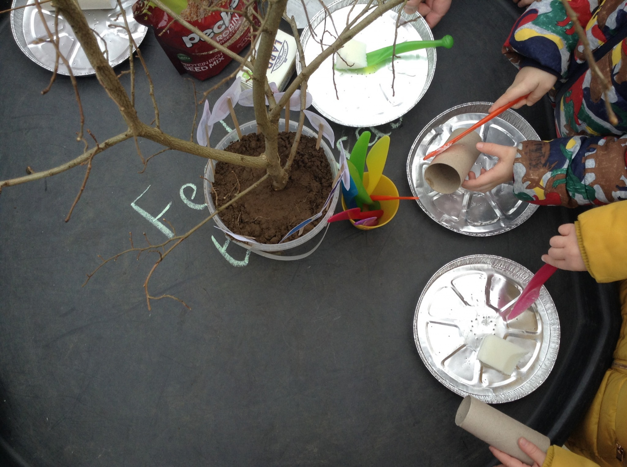 Simple Bird Feeder Craft for Kids