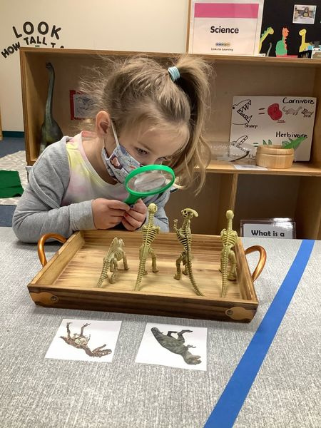 Paleontology Activities for Kids