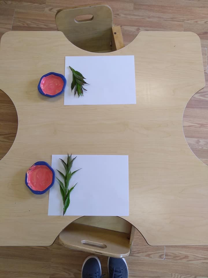Using Different Plants as Paintbrushes