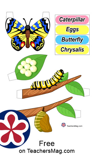 Download 3d Butterfly Life Cycle Printables Craft Teachersmag Com