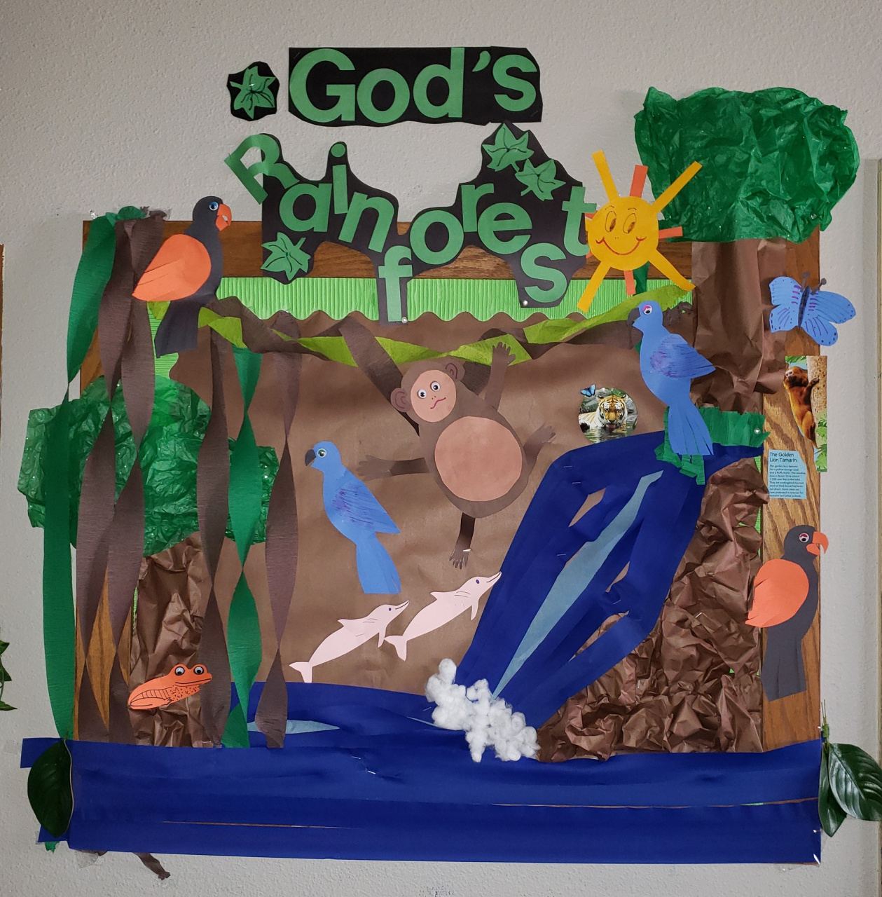 Rainforest-Themed Classroom Decoration Ideas