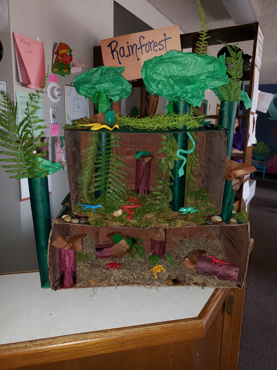 Transform Your Classroom with Vibrant Rainforest Decorations