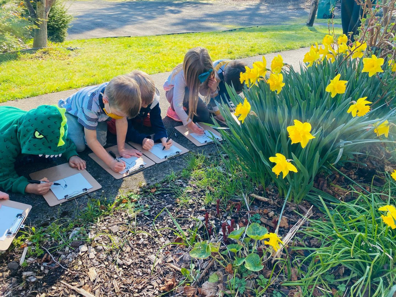 Observational Drawing Class Activity