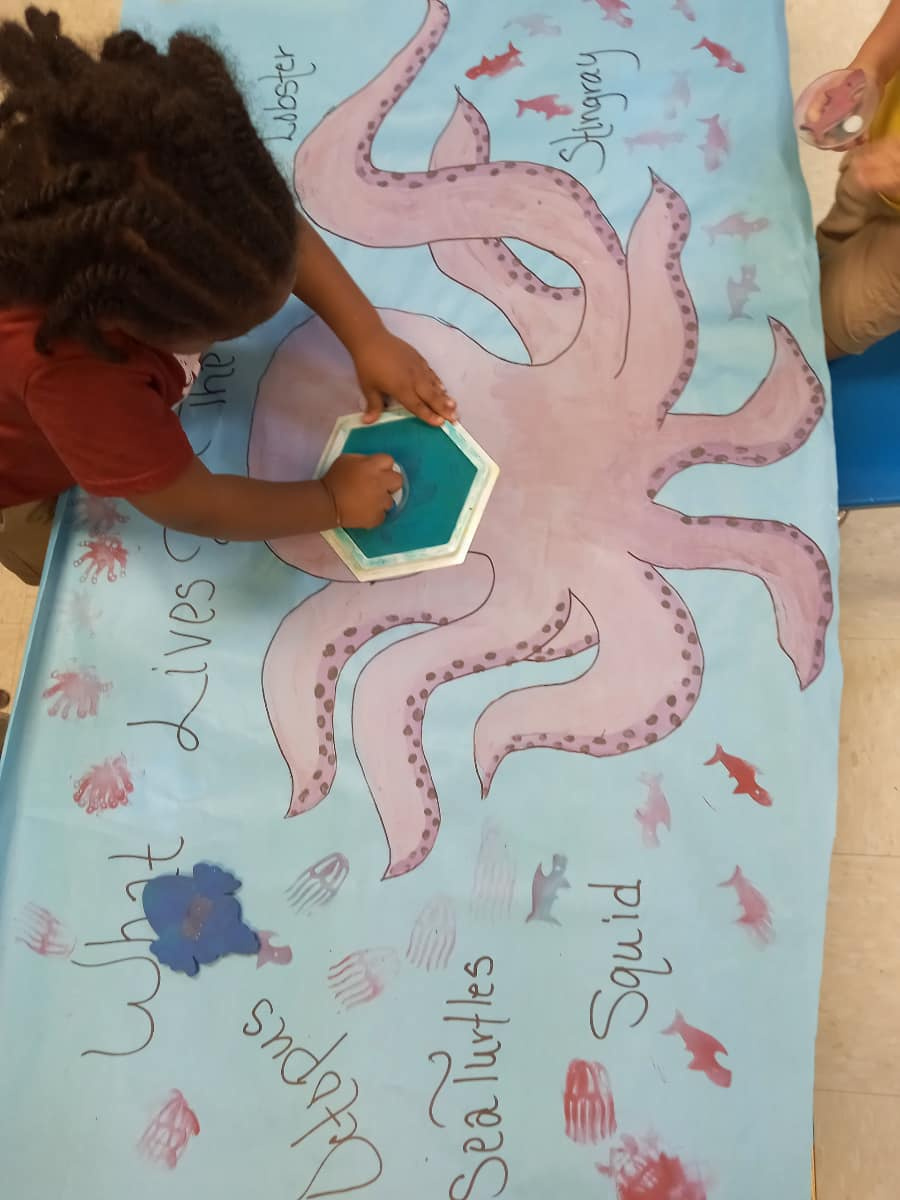 Creating an Ocean-Themed Bulletin Boards