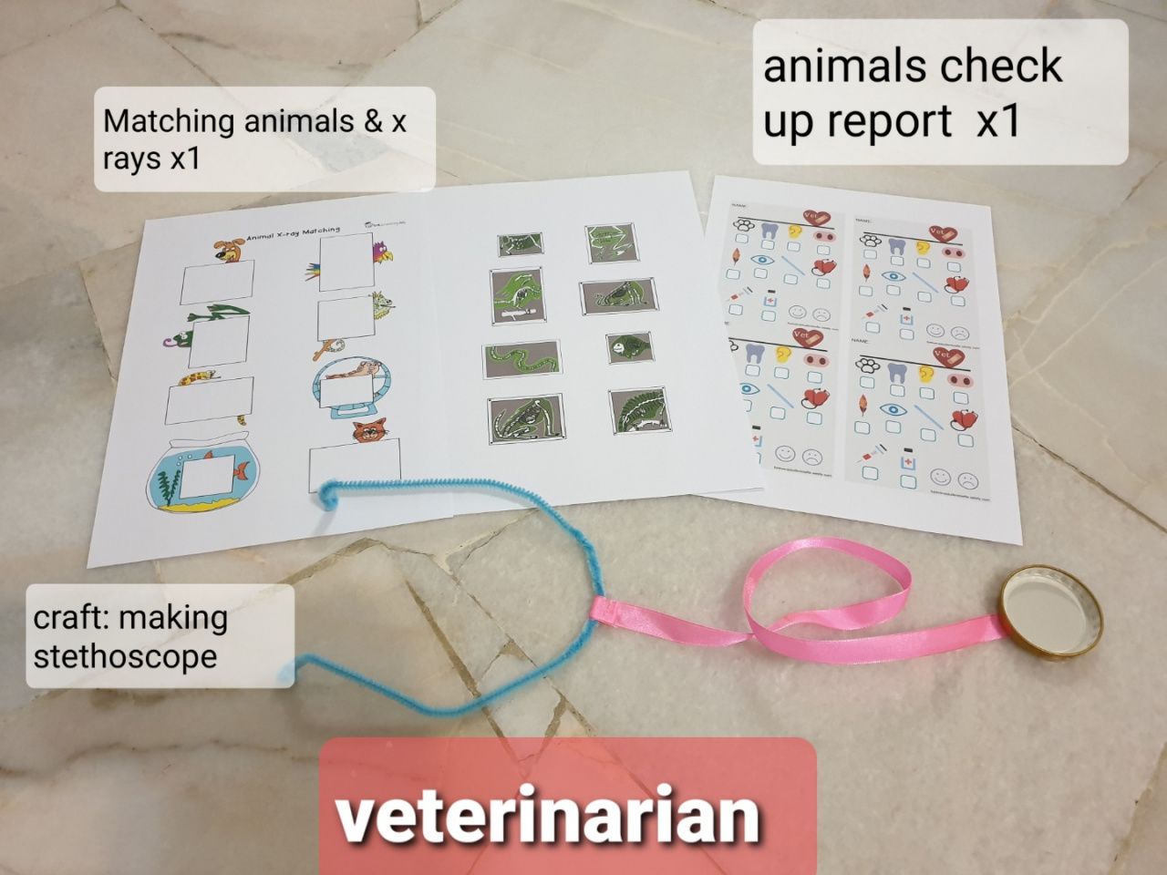Online classes on veterinarian