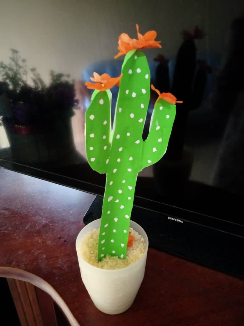Cactus craft for flower theme