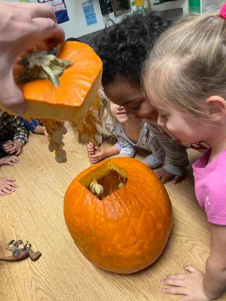 Pumpkin Exploration