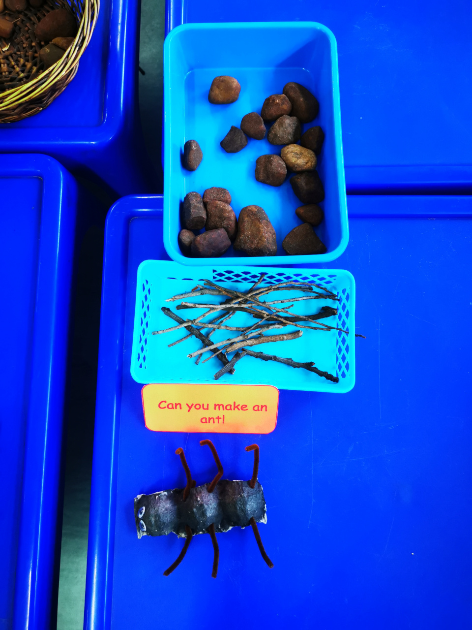 Loose parts provocation - Ants
Individual work