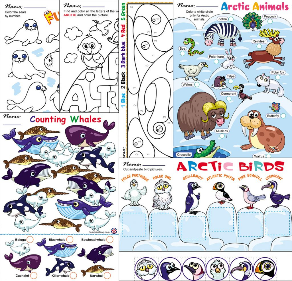 Arctic Animals Worksheets for Preschoolers