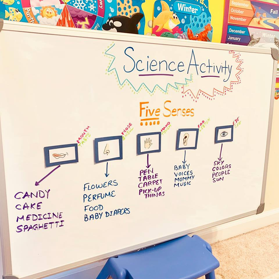 Five Senses Science Activity for Preschool