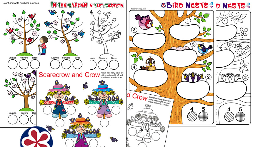 Birds Worksheets for Kindergarten