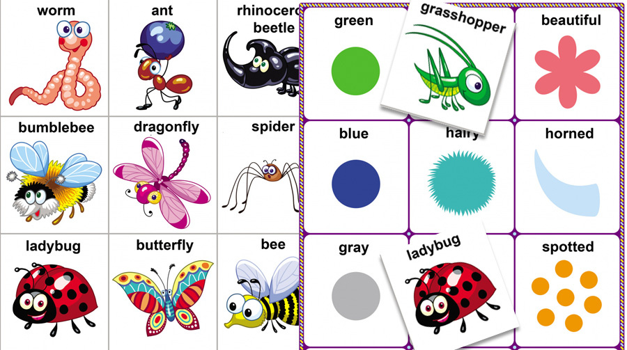 Insect Adjective-Naming Game