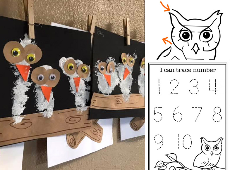Owl Craft for Preschool Students