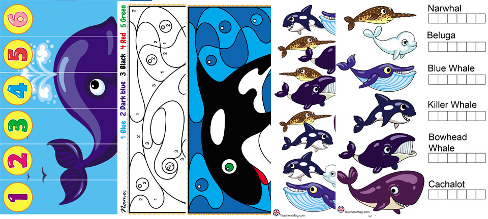 Whale Worksheets for Preschoolers