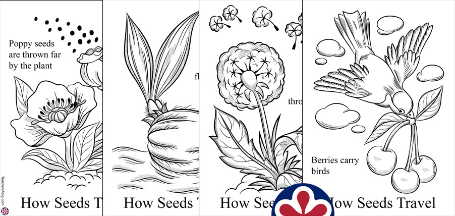 coloring pages for kids plants