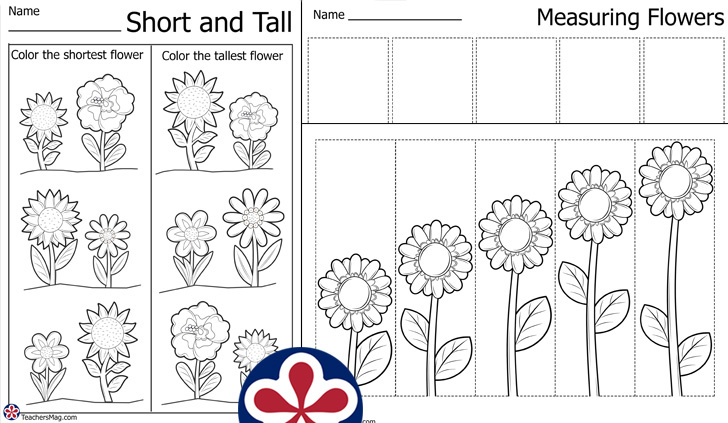 Flower Measurement Worksheets