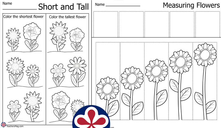 short and tall worksheets  Preschool math worksheets