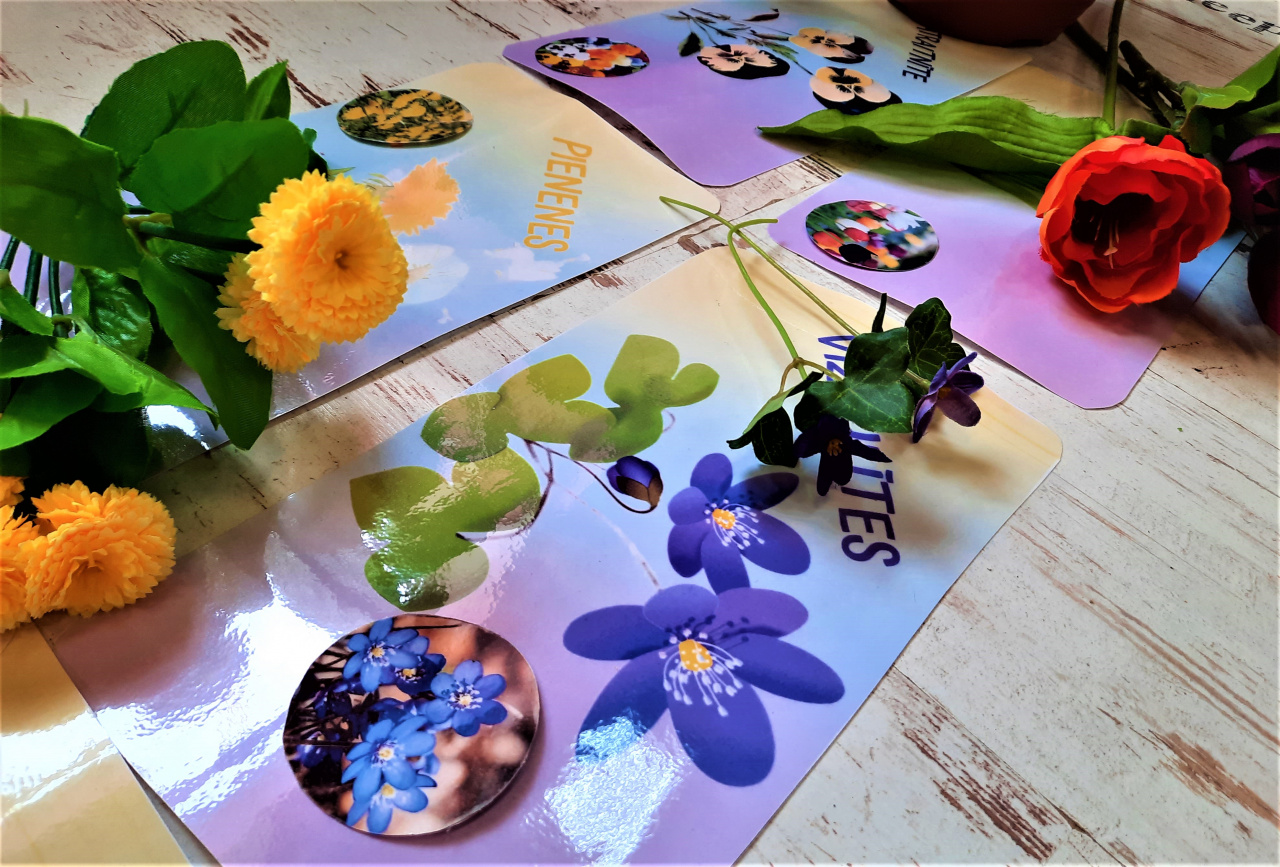 Flower themed activities