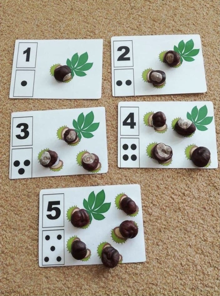 Fall Math Activities Using Chestnuts