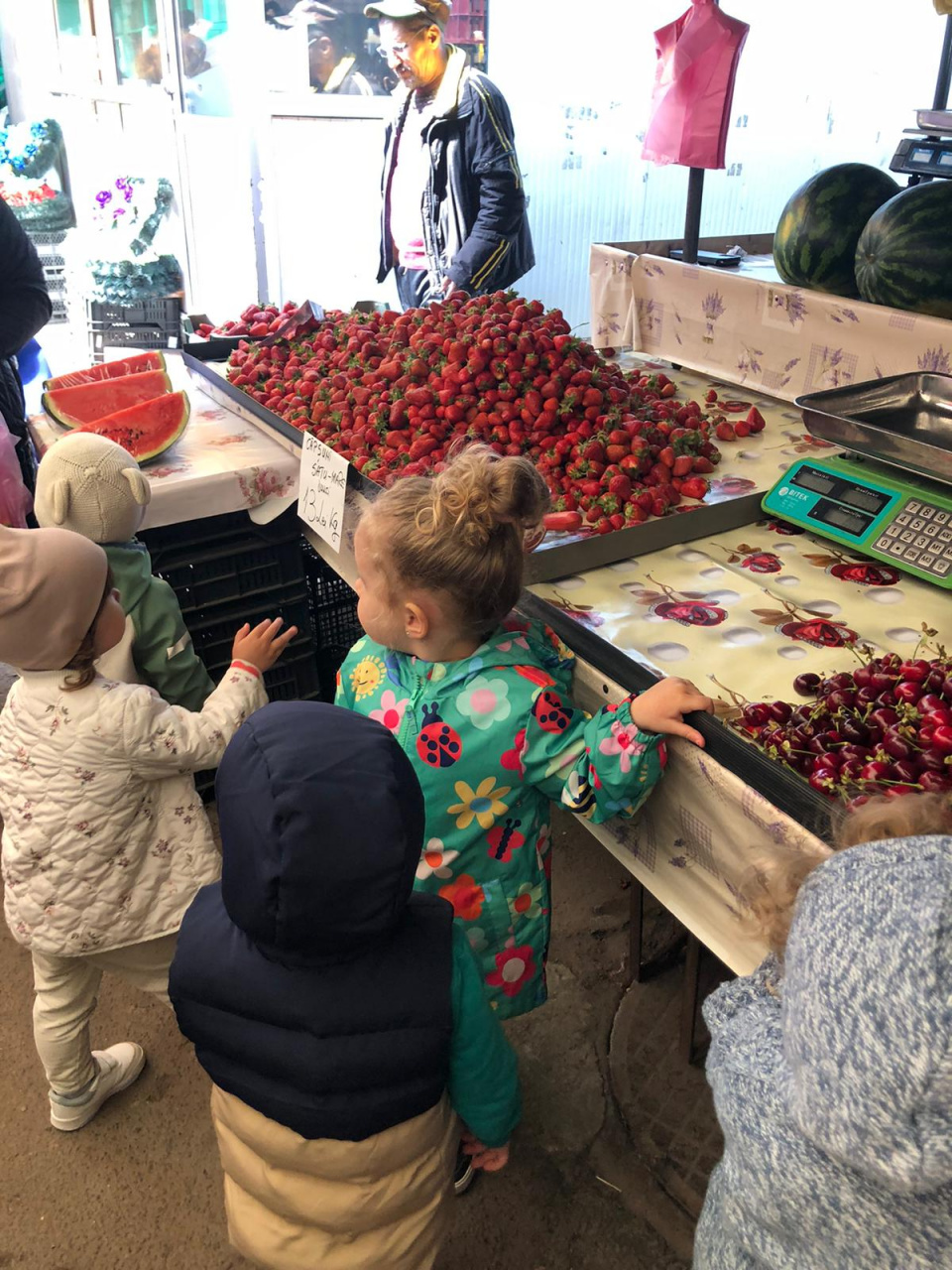 Learning about Strawberries