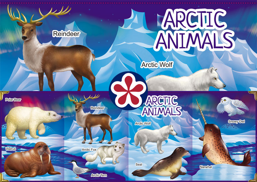 Arctic Animals Poster