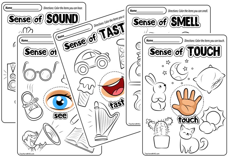 5 senses worksheets for pre k