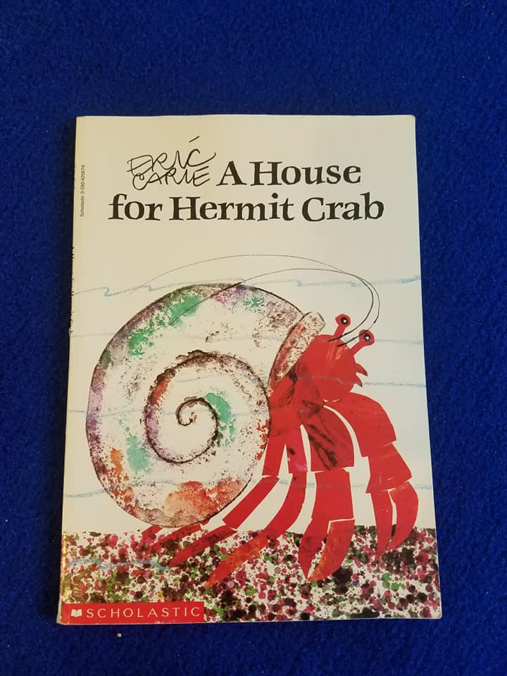 A House for Hermit Crab. Craft for Preschoolers + Printable