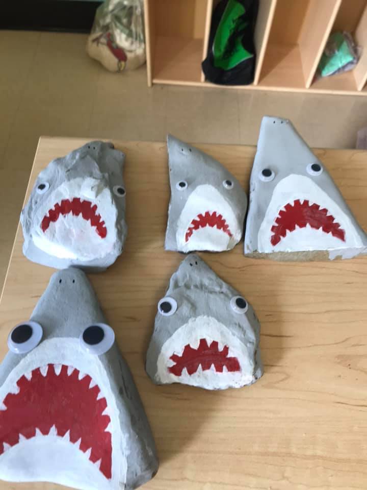 Painted Shark Rock preschool