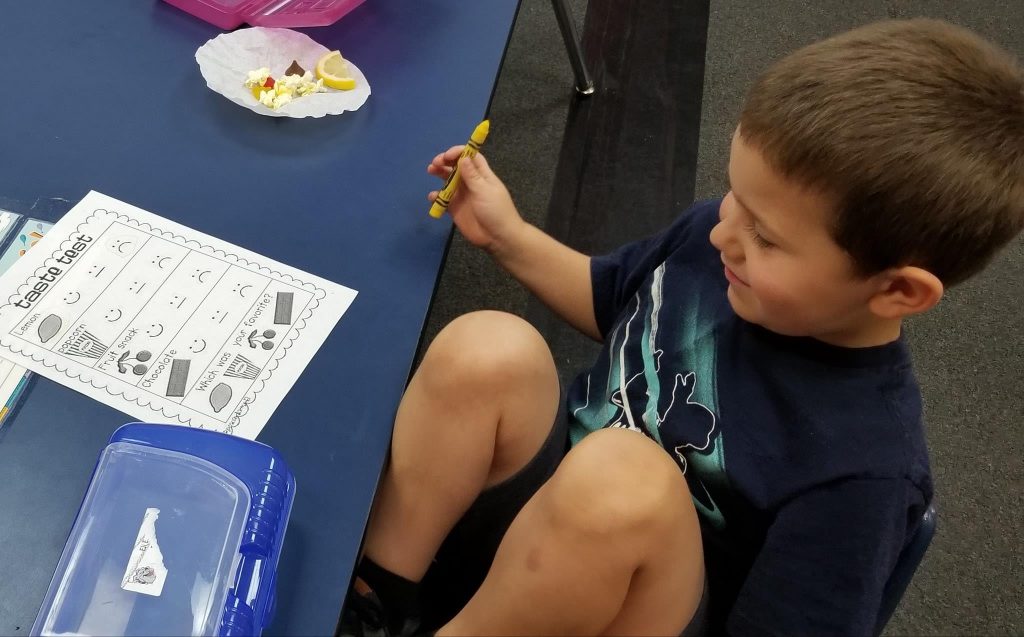 The Five Senses Taste Test