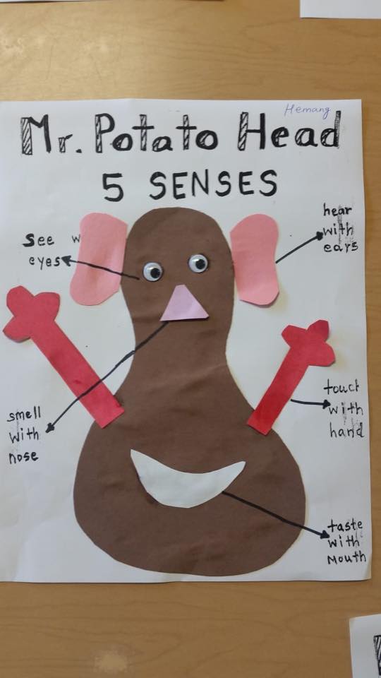 Five Senses With the Mr. Potato Head Paper Craft