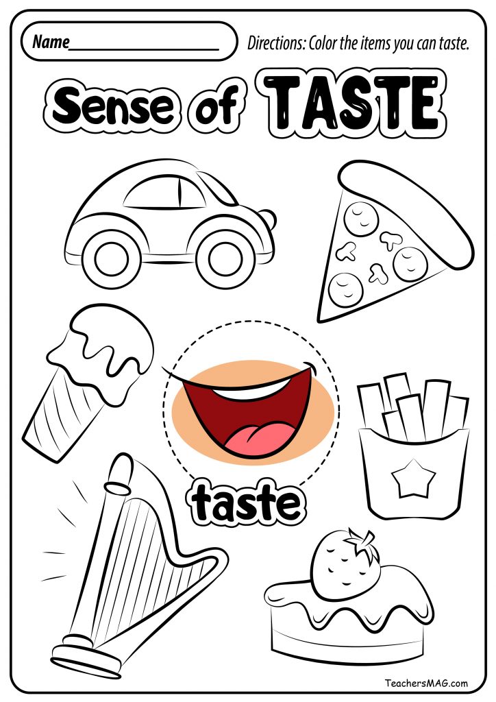 what are the five senses for kindergarten