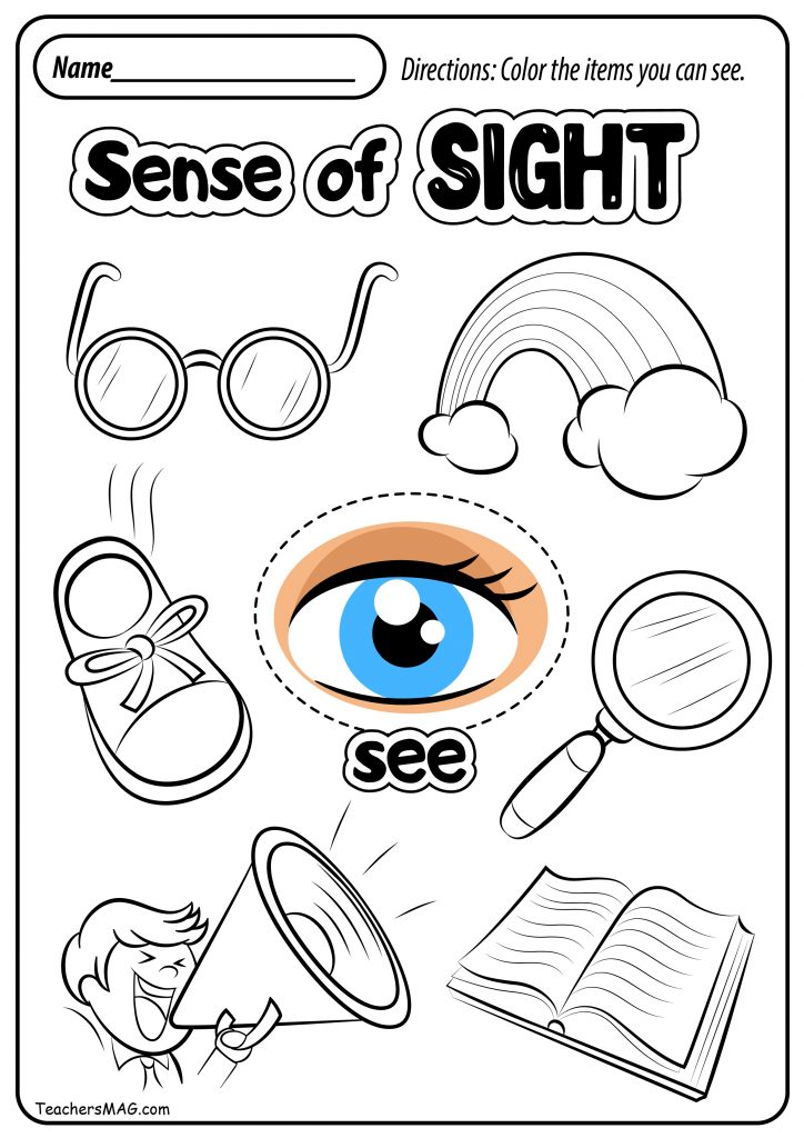 Free Five Senses Worksheets | TeachersMag.com