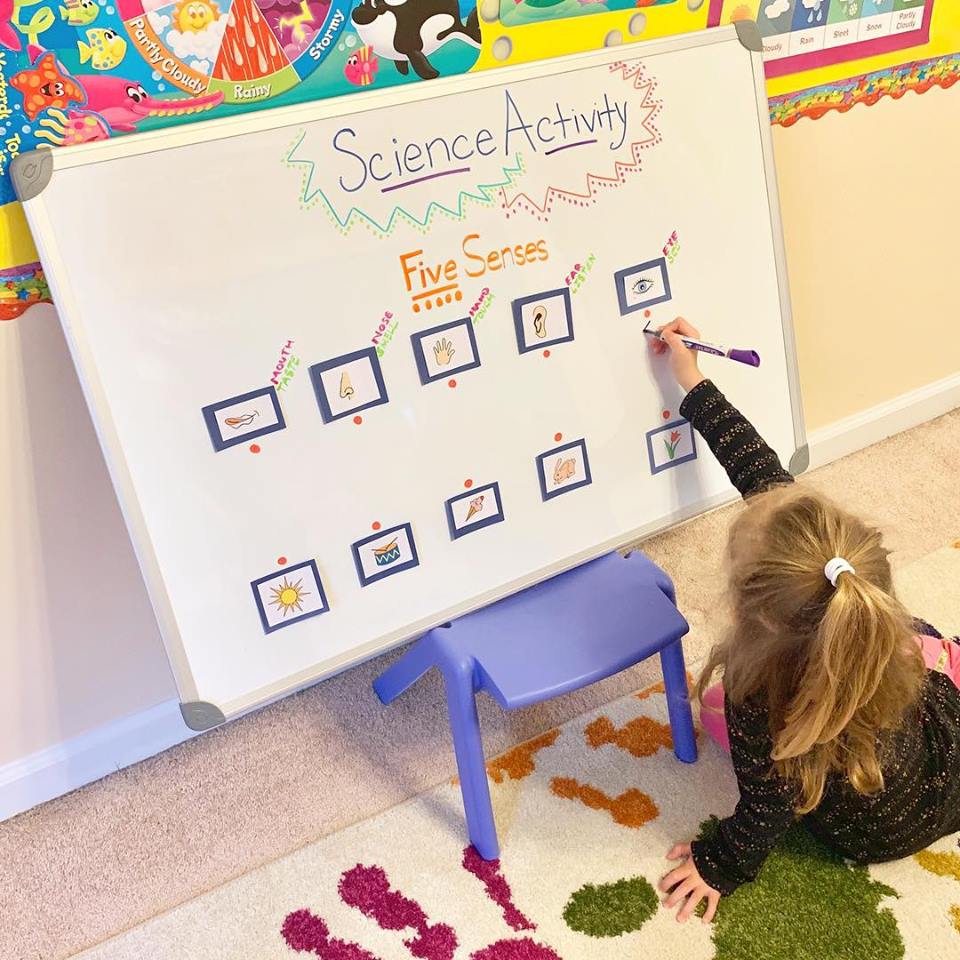 Five Senses Science Activity for Preschool