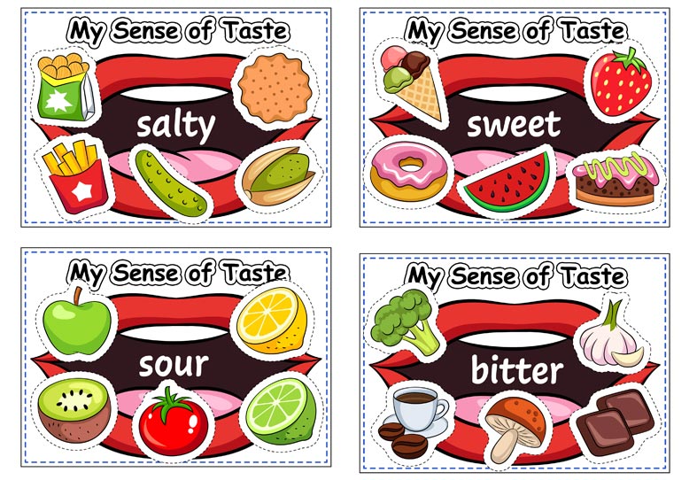 Sense of Taste Printables for Preschoolers