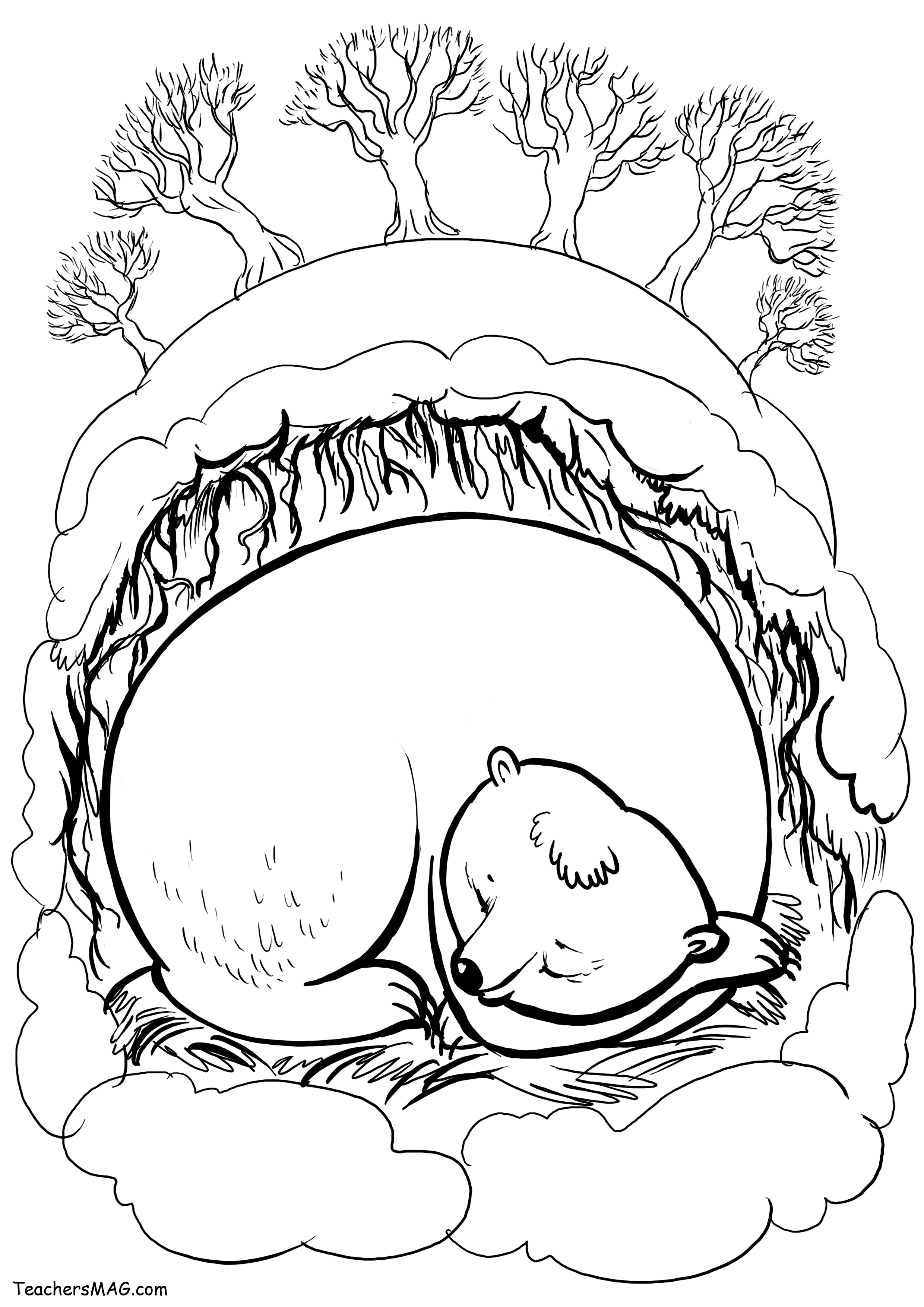 Hibernation Bear Coloring Page Sketch Coloring Page