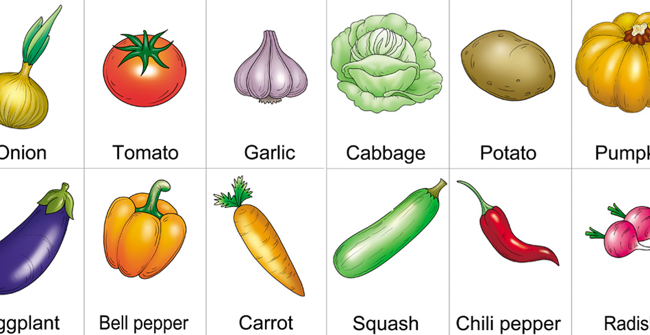 Vegetable Chart For Kindergarten