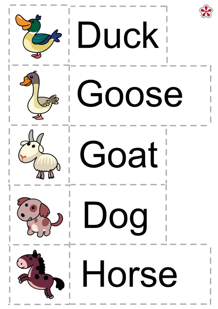 Farm Animals Theme for Preschool: Vocabulary Words | TeachersMag.com