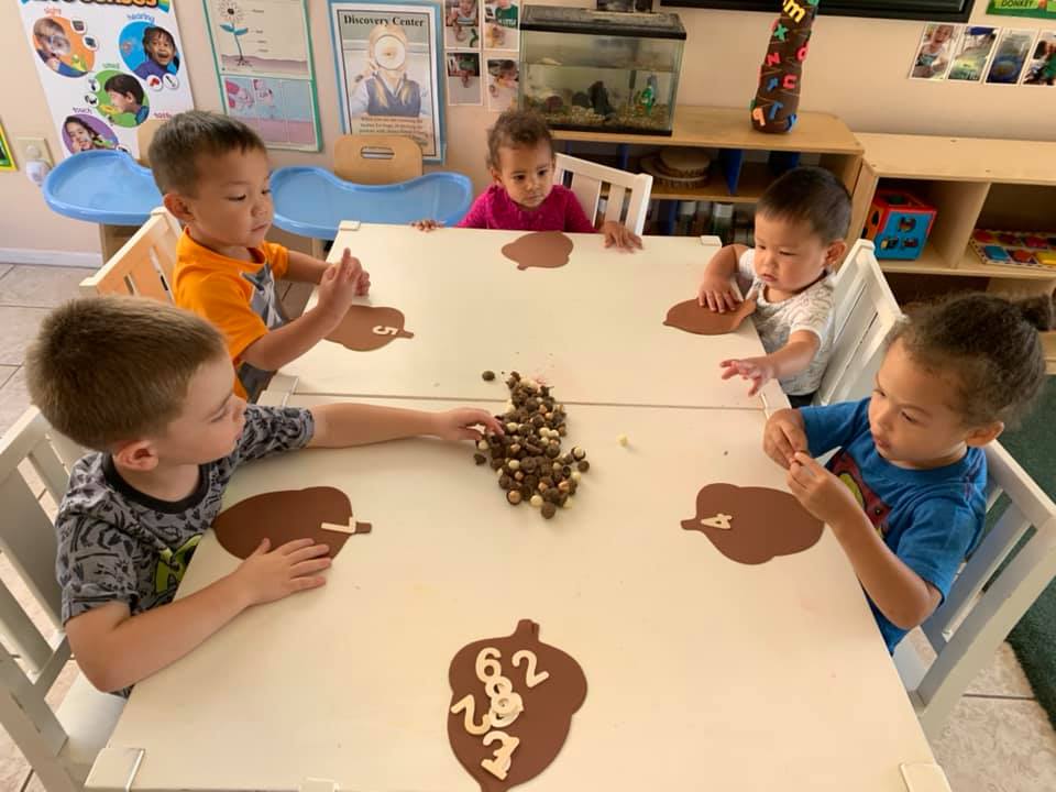 Acorn Counting Activity