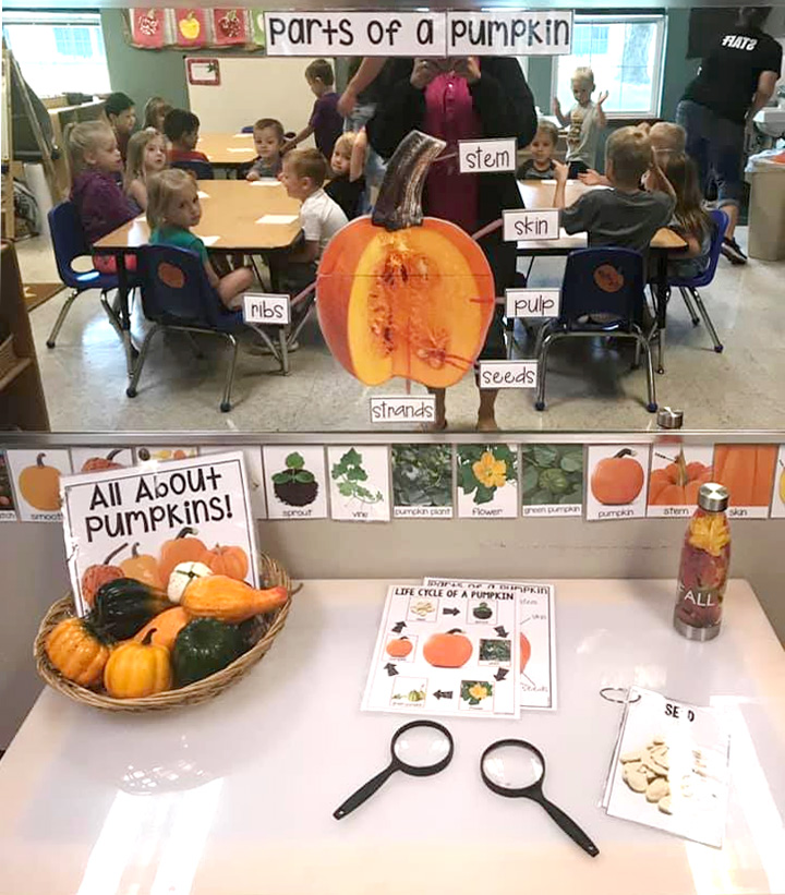 Science Table to Explore the Parts of a Pumpkin