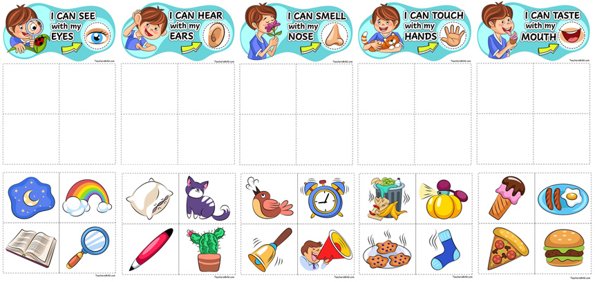 five-senses-sorting-activity-for-preschool-pre-k-and-kindergarten