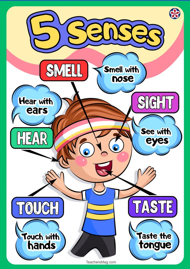 Free Downloadable Senses Poster Set | TeachersMag.com