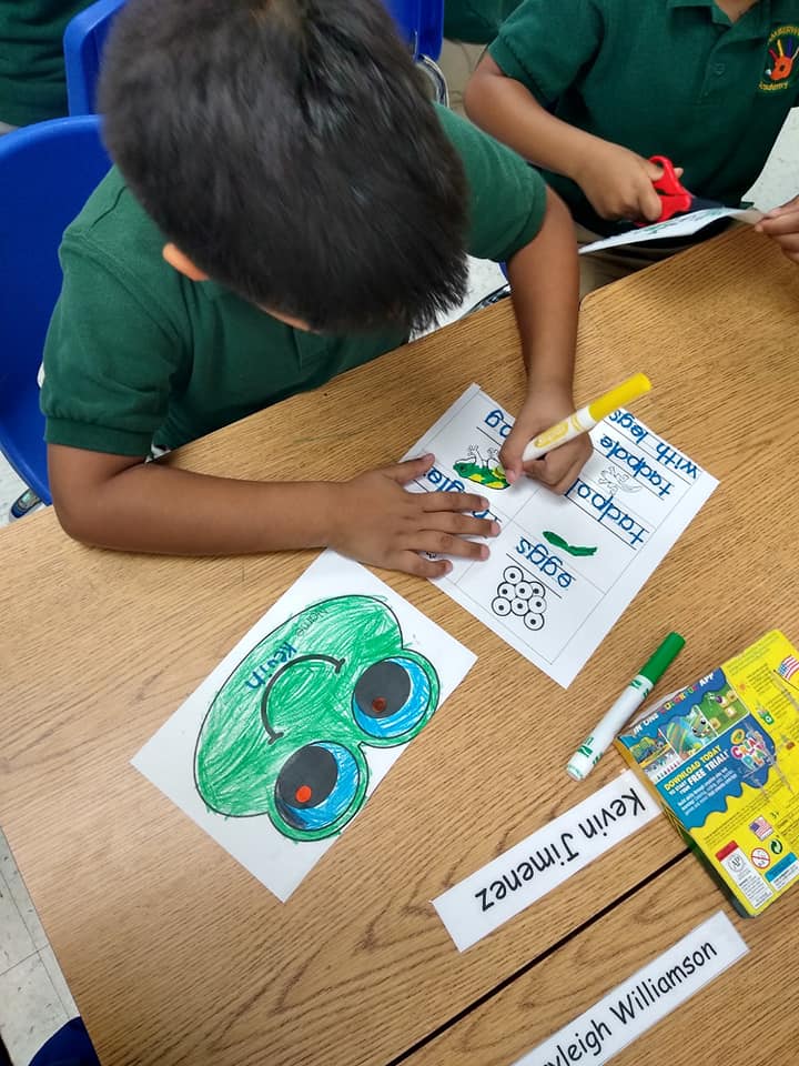 Frog Life-Cycle Book Activity